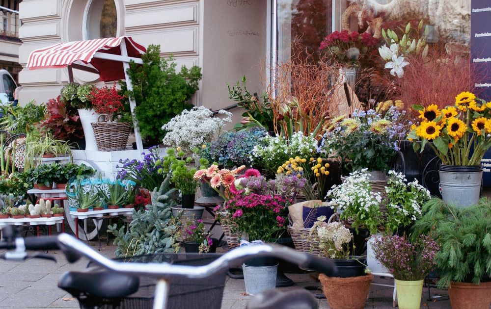 Blomsterbutikk oslo  slik finner du rette butikken for anledningen